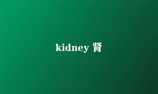 kidney 肾
