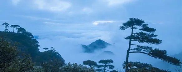 修仙掌门人攻略 修仙掌门人该怎么玩