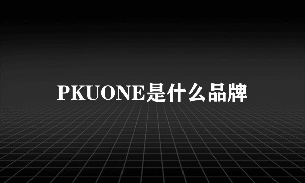 PKUONE是什么品牌