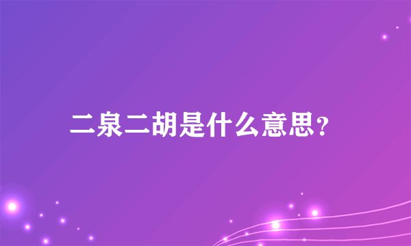 二泉二胡是什么意思？