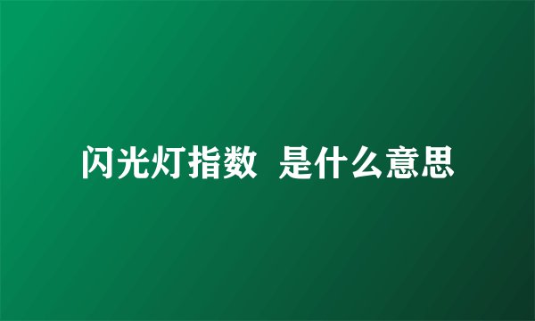 闪光灯指数  是什么意思