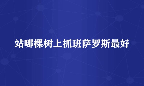 站哪棵树上抓班萨罗斯最好