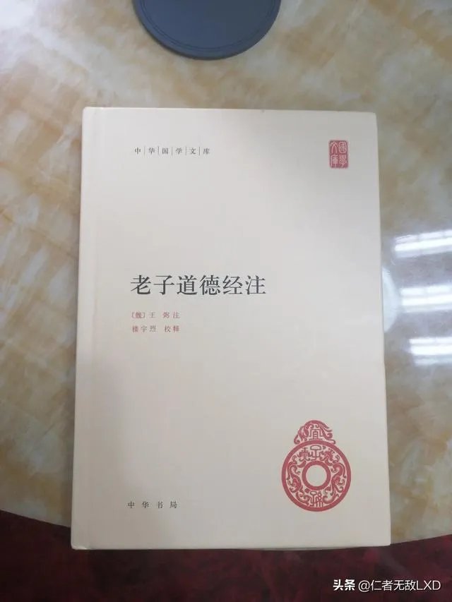 文若愚和陈鼓应
