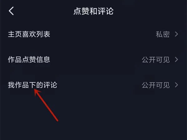 抖音怎么让别人看不到我的评论
