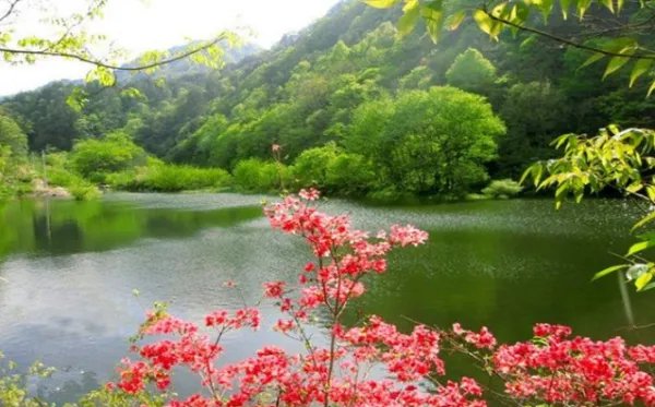 四季的花和树有什么不同