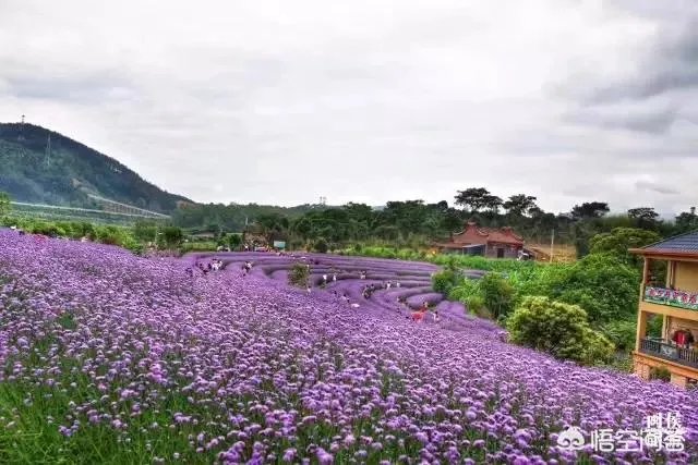 五一假期，闽侯县哪里适合一日游？