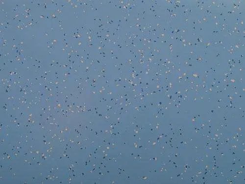 塑胶地板多少钱一平，据说塑胶地板有毒，是真的吗？