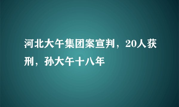 河北大午集团案宣判，20人获刑，孙大午十八年