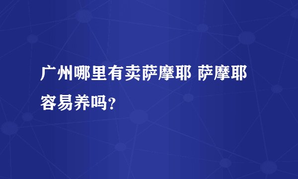 广州哪里有卖萨摩耶 萨摩耶容易养吗？