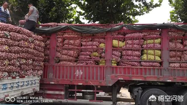 2018年的大蒜到底是会涨价还是会掉价？