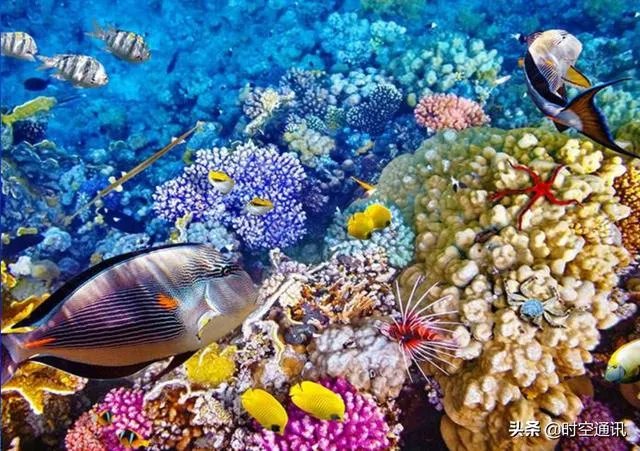 人和动物最大的相同点是什么？