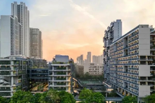 深圳国际学校排名一览表