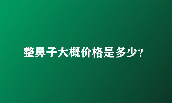 整鼻子大概价格是多少？