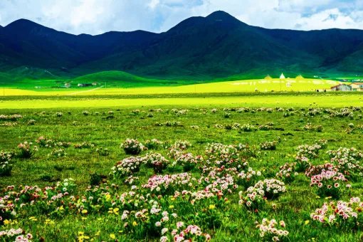 好听的中国民谣