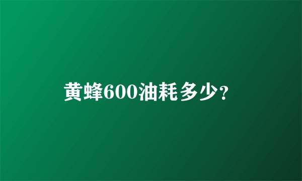 黄蜂600油耗多少？