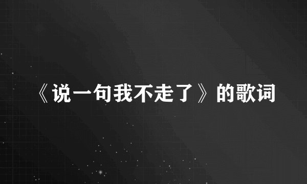 《说一句我不走了》的歌词