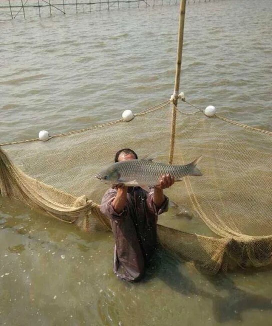 襄阳有哪些美食街，有哪些特色菜？