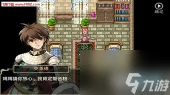 仙境传说紫罗兰单机攻略,独家攻略仙境传说紫罗兰单机版全解析 成为最强的冒险者