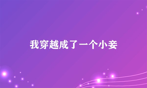 我穿越成了一个小妾