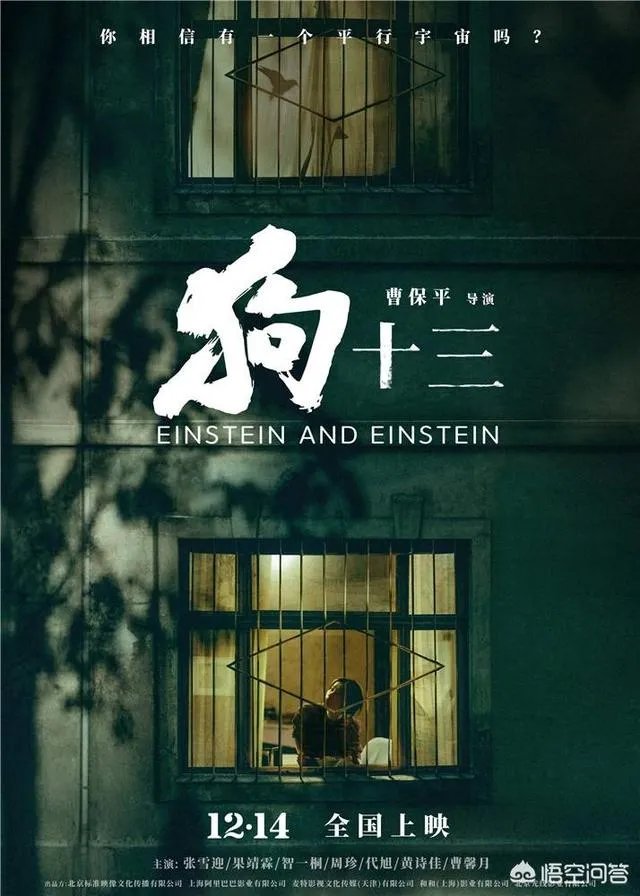 《狗十三》到底讲了什么？