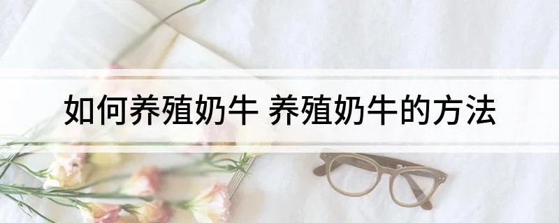 如何养殖奶牛 养殖奶牛的方法