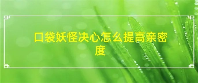 口袋妖怪决心怎么提高亲密度