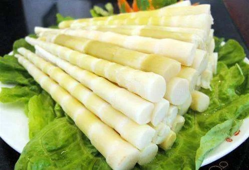 竹笋的产地安徽