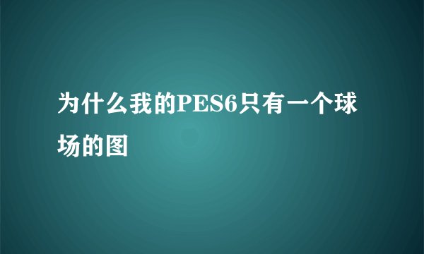 为什么我的PES6只有一个球场的图