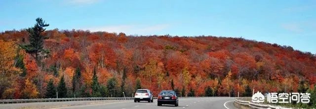 国庆最适合旅游的地方都有哪些？