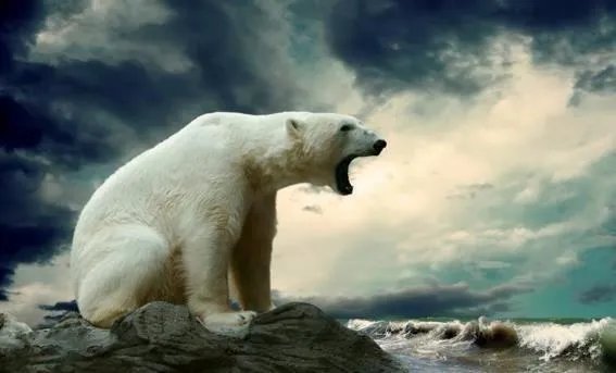 2016年地球最热的一年温度有多高？