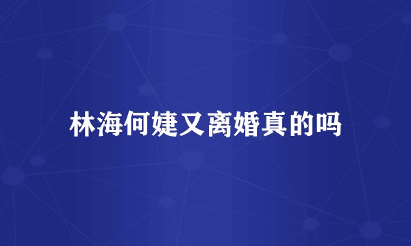 林海何婕又离婚真的吗