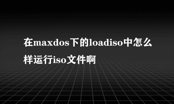 在maxdos下的loadiso中怎么样运行iso文件啊