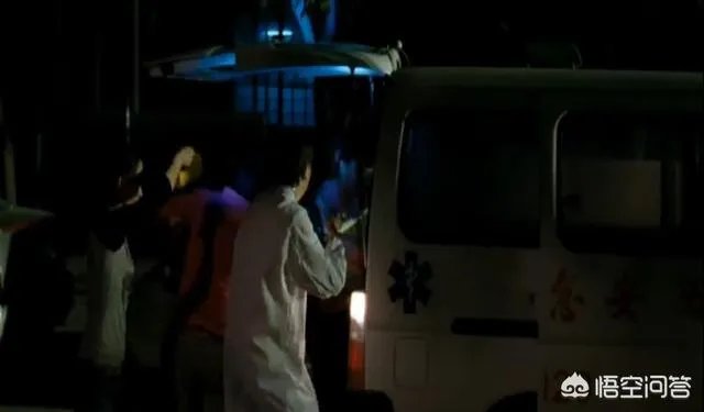 《狗十三》到底讲了什么？