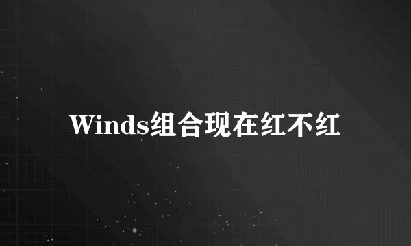 Winds组合现在红不红