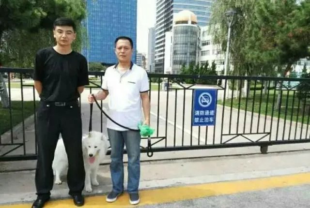 萨摩耶在交警队混吃混喝1个月把交警吃穷了，有这么夸张吗，萨摩耶有多能吃？