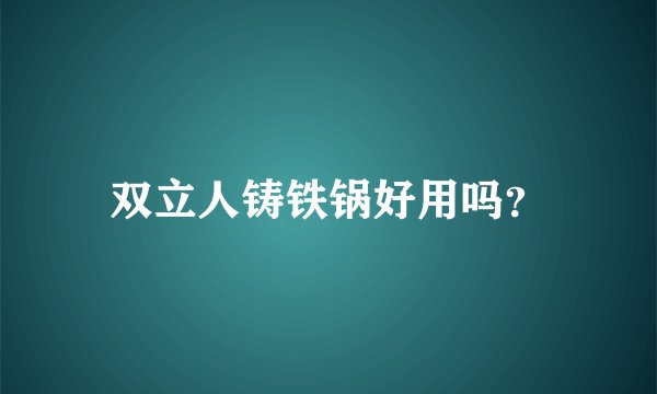 双立人铸铁锅好用吗？