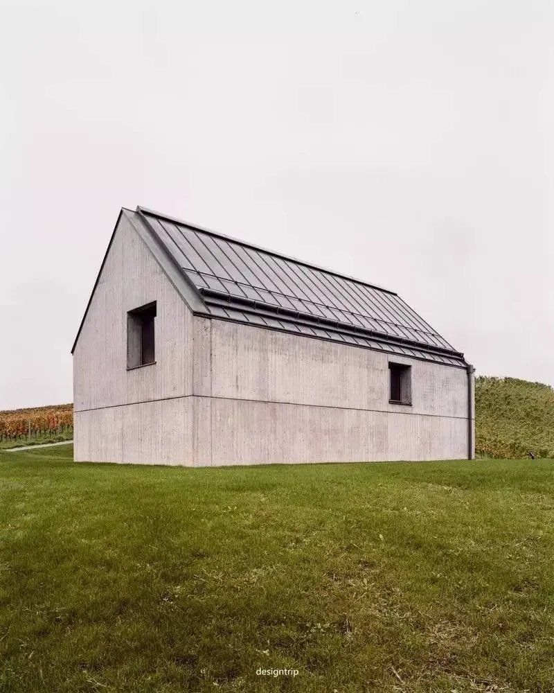 在一望无际的葡萄园中，安个家！