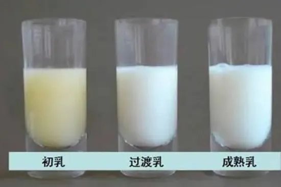 母乳是什么样子的