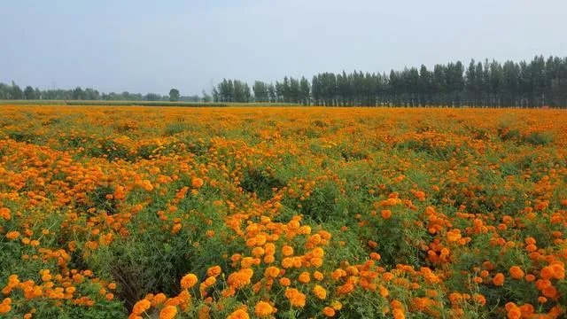 恩施的旅游业实际发展是怎样的？