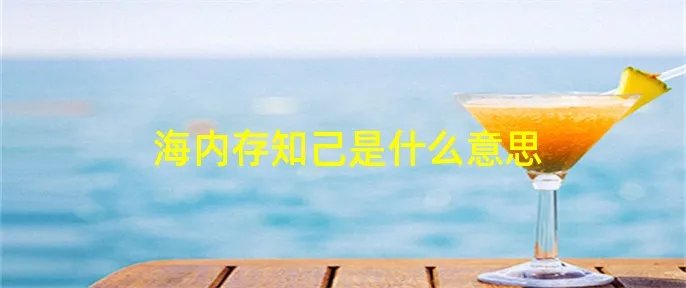 海内存知己是什么意思