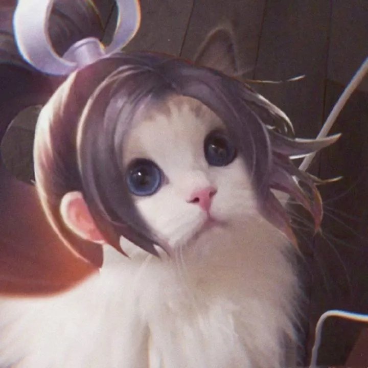 《王者荣耀》猫咪接头头像大全