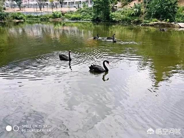 海丝动物园好玩吗