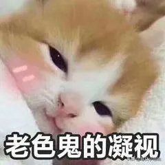 大学生喜欢哪类话题进行互动？