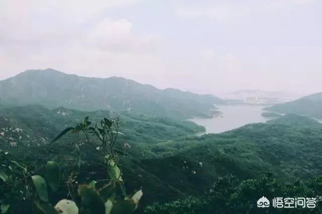 珠海凤凰山景区环境怎么样？值得一游吗？
