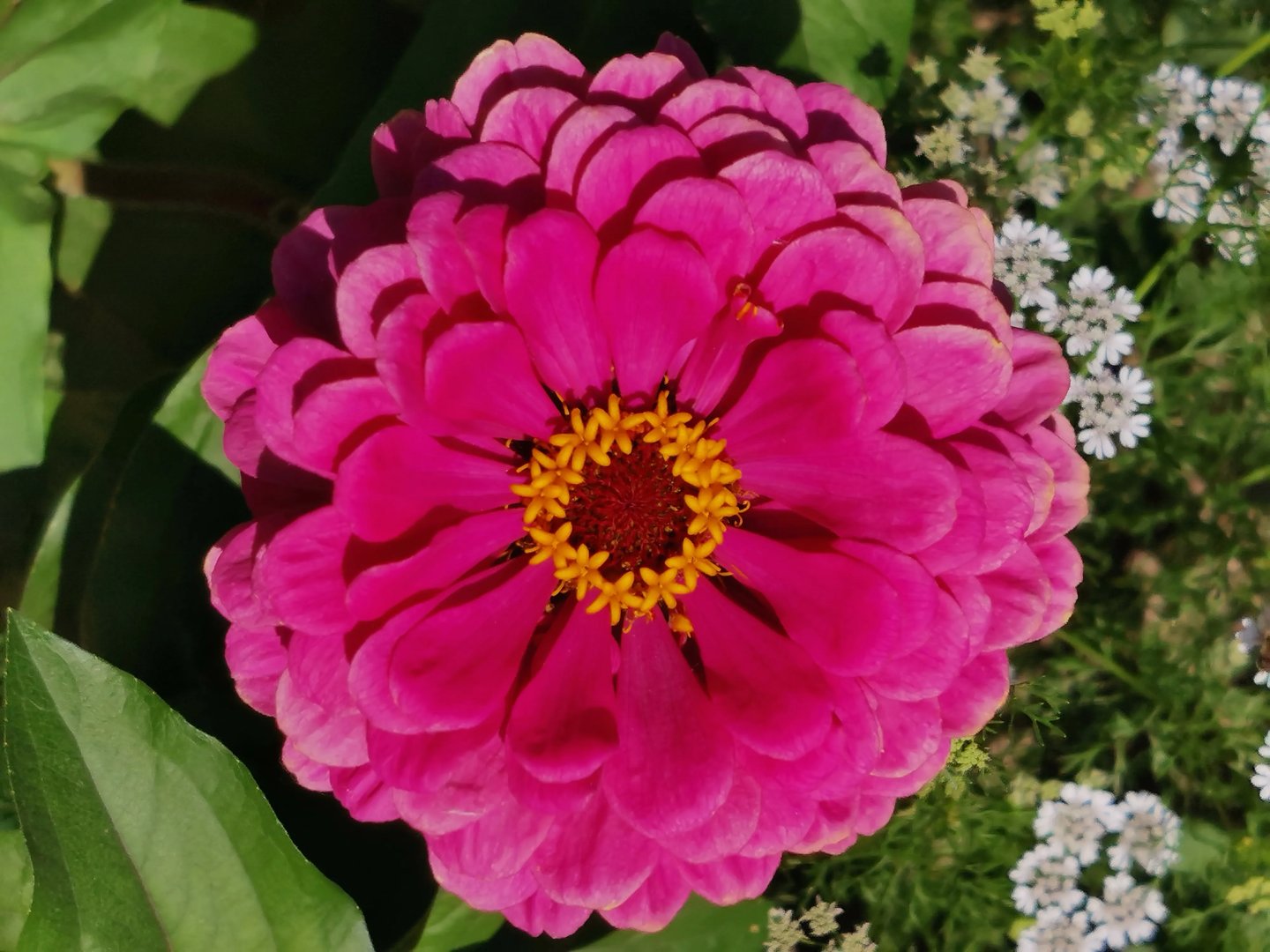 哈尔滨2020年中学生篮球赛什么时间打？