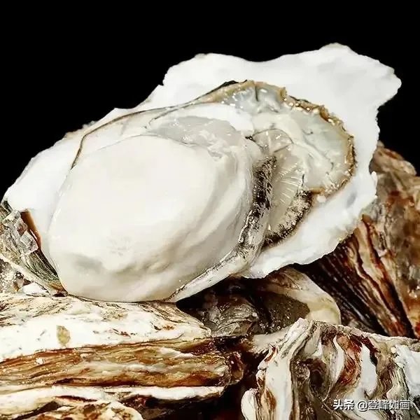 什么是最好的乳山牡蛎？