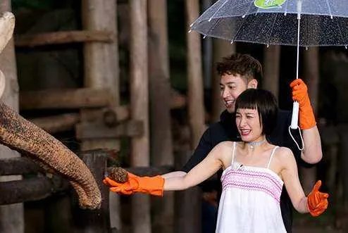 潘玮柏和吴昕的无尾熊夫妇，是否是你的意难平？