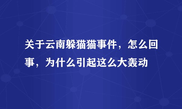 关于云南躲猫猫事件，怎么回事，为什么引起这么大轰动