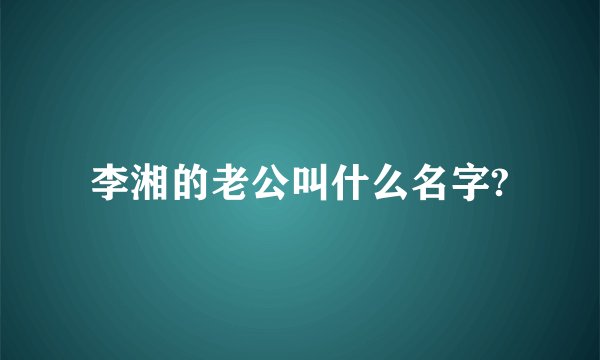 李湘的老公叫什么名字?