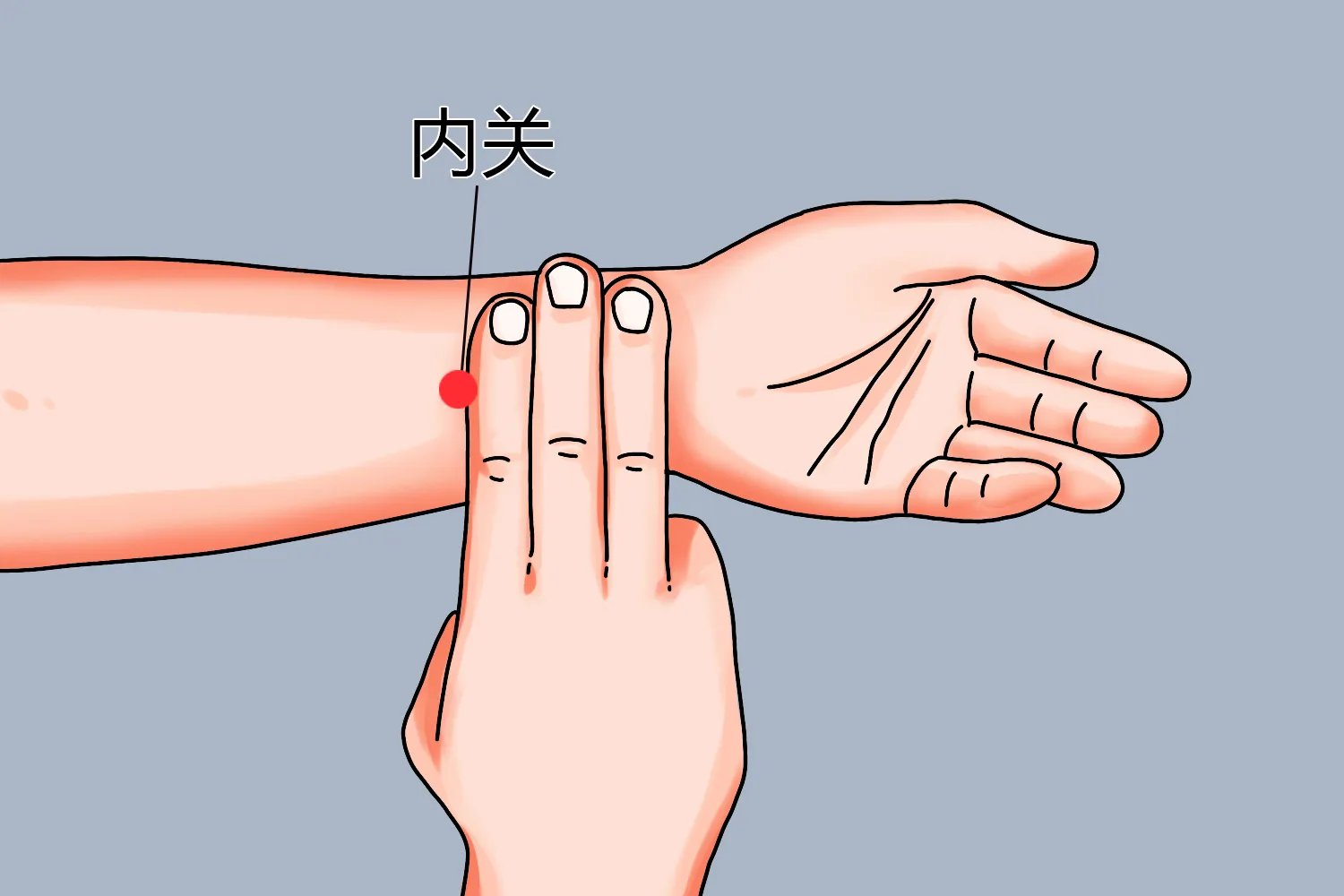 内关足三里准确位置图和作用